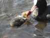 20200422154723-DSCN2045.JPG