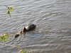 20200422154740-DSCN2048.JPG