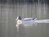 20200422154811-DSCN2050.JPG