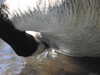 20200422154830-DSCN2051.JPG