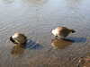 20200422154838-DSCN2052.JPG