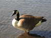 20200422154841-DSCN2053.JPG