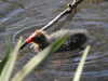 20200422154917-DSCN2055.JPG