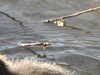 20200422154923-DSCN2056.JPG