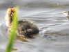 20200422154930-DSCN2057.JPG