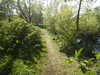 20200422154940-DSCN2058.JPG