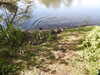 20200422154945-DSCN2059.JPG