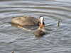 20200422155000-DSCN2061.JPG