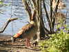 20200422155036-DSCN2062.JPG