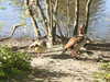 20200422155104-DSCN2063.JPG