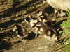 20200422155124-DSCN2067.JPG