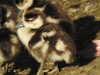 20200422155141-DSCN2069.JPG