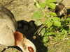 20200422155155-DSCN2071.JPG