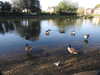 20200422155226-DSCN2073.JPG