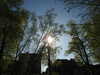 20200422155330-DSCN2075.JPG
