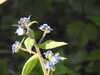 20200422155426-DSCN2079.JPG