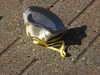 20200422155653-DSCN2081.JPG