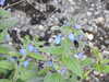 20200422160328-DSCN2084.JPG