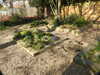 20200422160525-DSCN2088.JPG