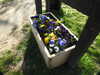 20200422160528-DSCN2089.JPG