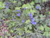 20200422160947-DSCN2093.JPG