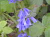 20200422160958-DSCN2094.JPG