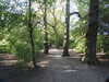 20200422161009-DSCN2095.JPG