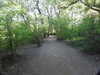20200422161016-DSCN2096.JPG