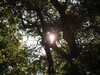20200422161111-DSCN2097.JPG