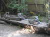 20200422161302-DSCN2099.JPG