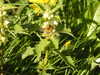 20200422161453-DSCN2104.JPG
