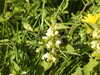 20200422161512-DSCN2105.JPG