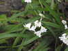 20200423151526-DSCN2112.JPG