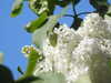 20200423151803-DSCN2113.JPG