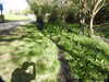 20200423152754-DSCN2116.JPG
