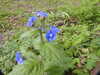 20200423152915-DSCN2119.JPG