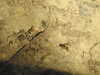 20200423153014-DSCN2120.JPG