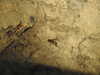 20200423153017-DSCN2121.JPG