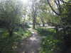 20200423153048-DSCN2122.JPG