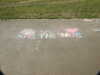 20200423153510-DSCN2124.JPG