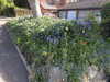 20200423153821-DSCN2125.JPG
