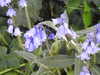 20200423153828-DSCN2126.JPG