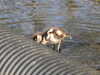 20200423154859-DSCN2132.JPG