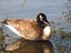 20200423155207-DSCN2145.JPG