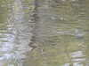 20200423155713-DSCN2149.JPG