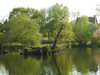 20200423155933-DSCN2150.JPG