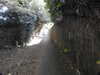 20200423161240-DSCN2152.JPG