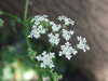 20200423163120-DSCF5077.JPG