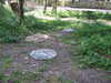 20200423163132-DSCF5078.JPG
