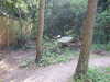20200423163136-DSCF5079.JPG
